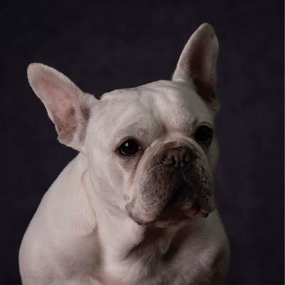 Hank